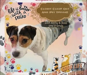 @bethybd LIVE Sat., March 14, 422pmEST Closet Clear Out w/Pet Trivia! Use➕️